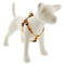 Lupine MicroBatch Step In Dog Harness 3/4" x 20"-30" Spooky - Poudre Pet & Feed Supply